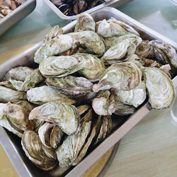 热门AAAA片推荐封面